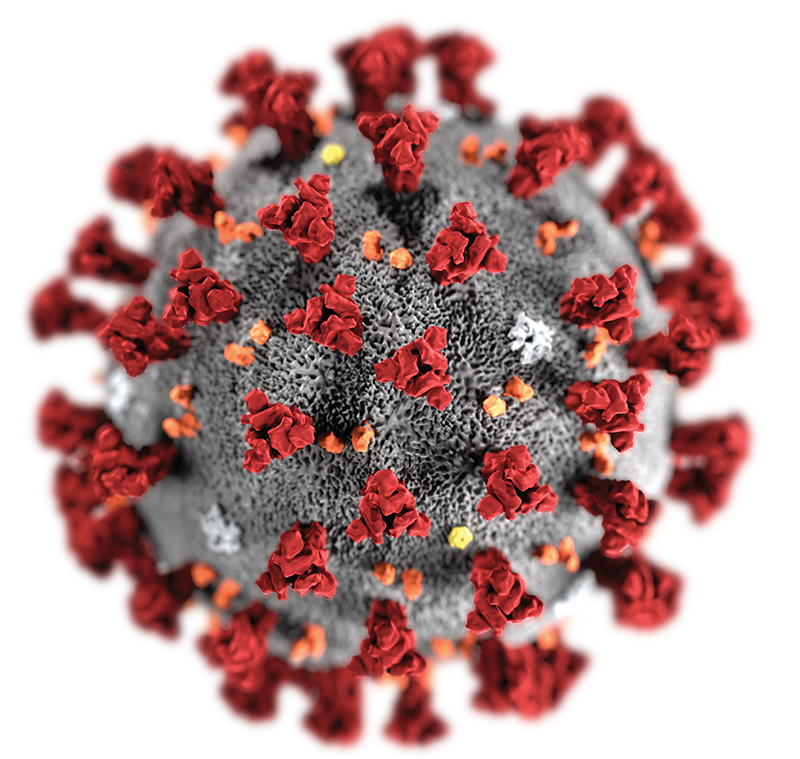 COVID-19 Vaccines Facts & Fiction